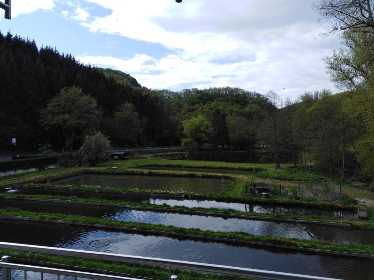Zimmer Ohne Fruehstueck In Der Forellenzucht ブルゲン エクステリア 写真