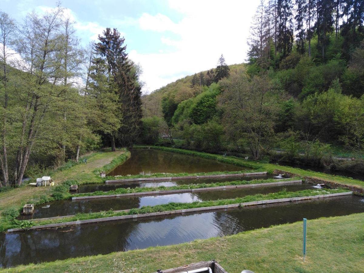Zimmer Ohne Fruehstueck In Der Forellenzucht ブルゲン エクステリア 写真
