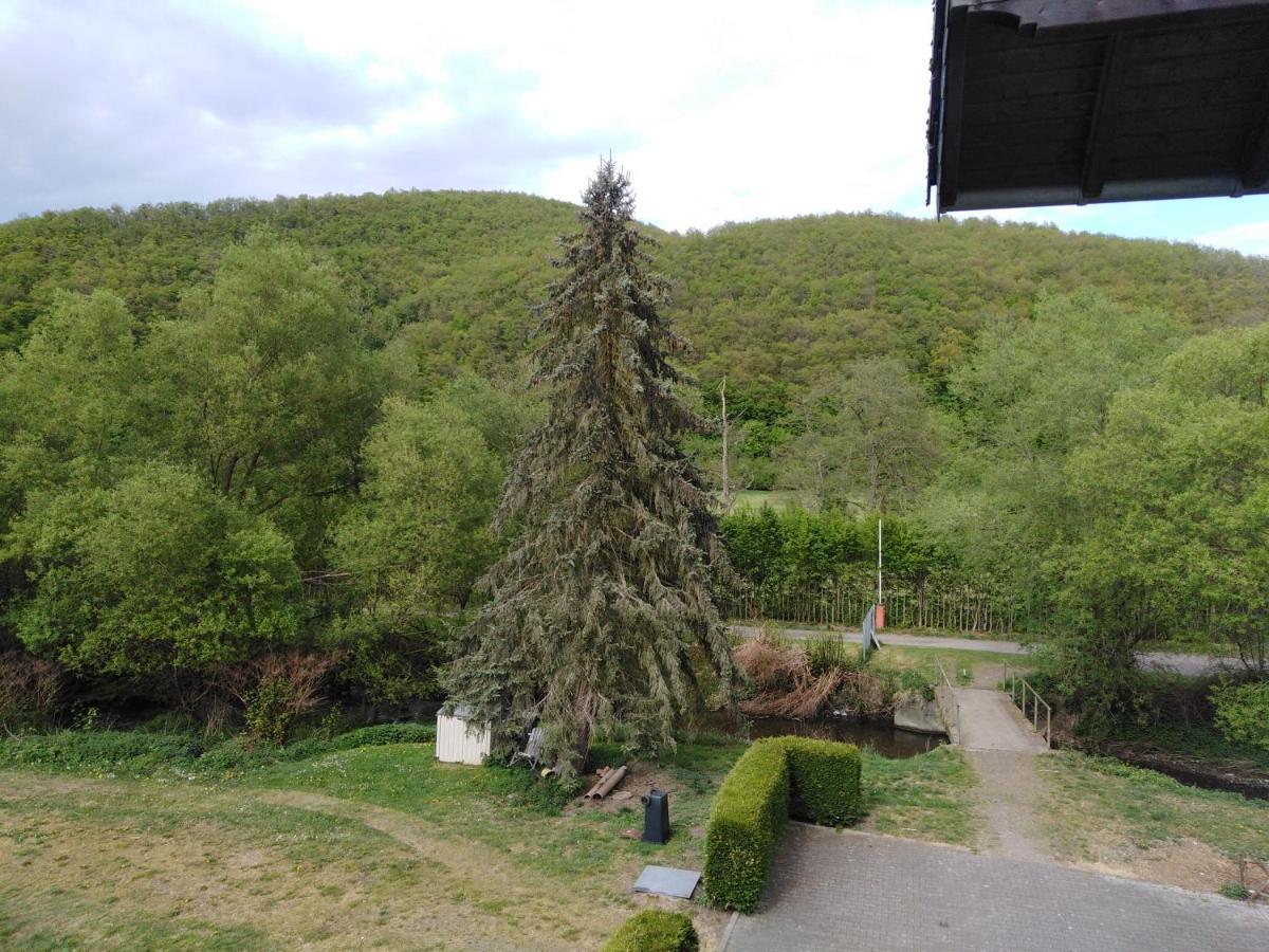 Zimmer Ohne Fruehstueck In Der Forellenzucht ブルゲン エクステリア 写真
