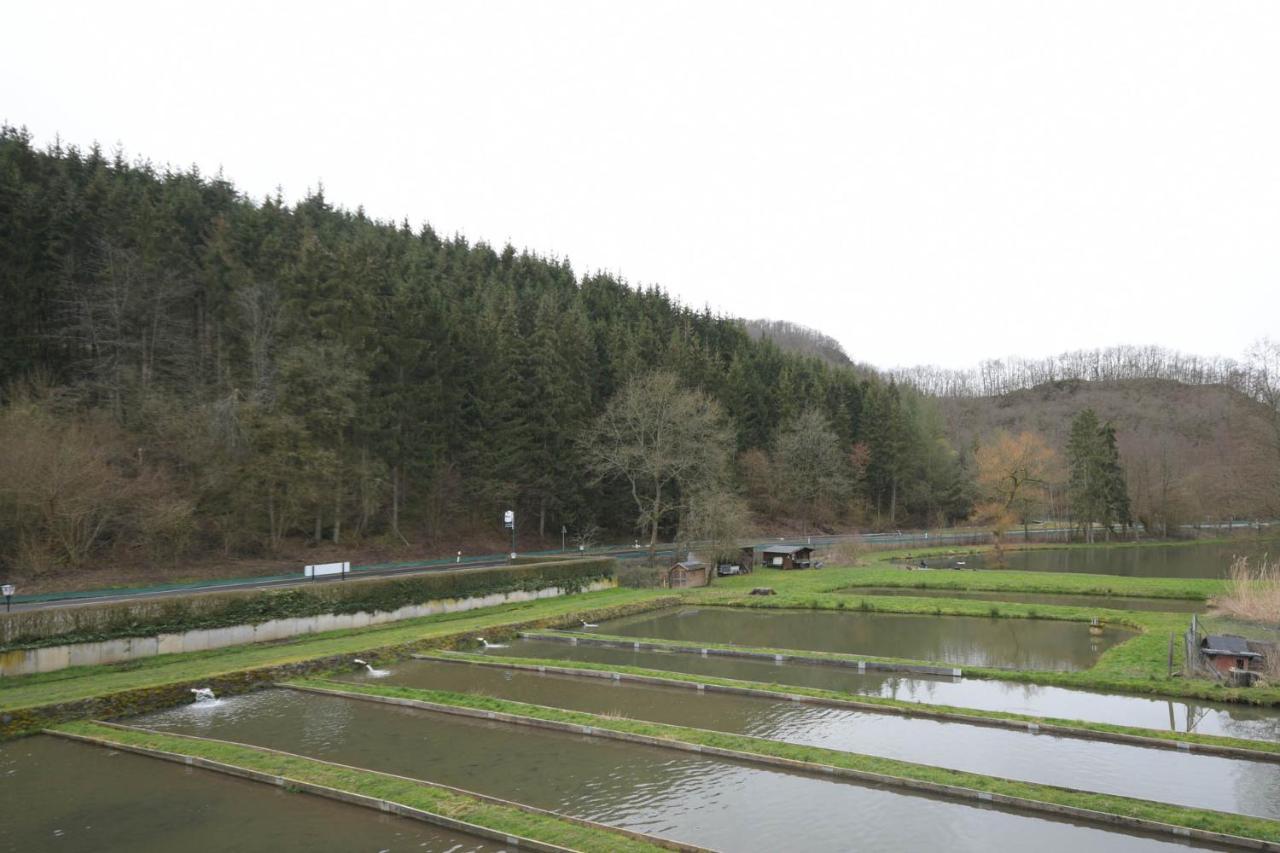 Zimmer Ohne Fruehstueck In Der Forellenzucht ブルゲン エクステリア 写真